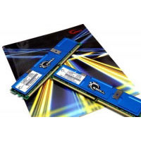 G.skill 1GB (1024MB) PC 3200 (F1-3200CL3S-1GBSA) G.skill 1GB (1024MB) PC 3200 (F1-3200CL3S-1GBSA)
